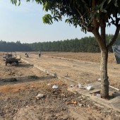 Đất đẹp An Viễn – gần KCN Giang Điền, tiềm năng tăng giá cao