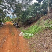 Đất Di Linh. 1000m2 có cà phê, có điện,đường ô tô. Giá 380tr bao sổ