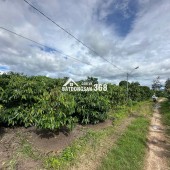 Ngay mặt tiền **Tô Hiến Thành, Đăk Hà, TP. Kon Tum** đây cả nhà ơi!