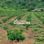 Em có lô đất cực đỉnh nằm ngay mặt tiền đường Nguyễn Bỉnh Khiêm, TP.Kon Tum