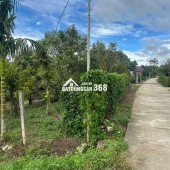 Săn đất vàng Kon Tum, đầu tư sinh lời cực đỉnh!
