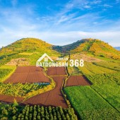 Bán 3500m² đất view đẹp tại dốc Trời, Lâm Hà, Lâm Đồng