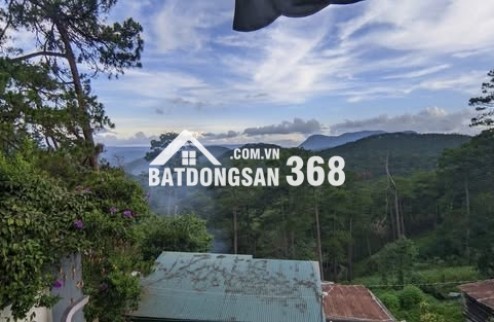 Bán biệt thự
