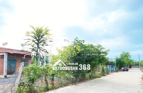 ĐẤT NỀN THỌ TÂN – P XUÂN LỘC – ĐN. GIÁ CHỈ 490Tr. 100% OĐT