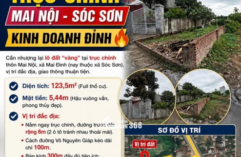 CHÍNH CHỦ CẦN NHƯỢNG LẠI LÔ ĐẤT \"VÀNG\" TẠI MAI NÔI-SÓC SƠN - VỊ TRÍ ĐẮC ĐỊA KINH DOANH