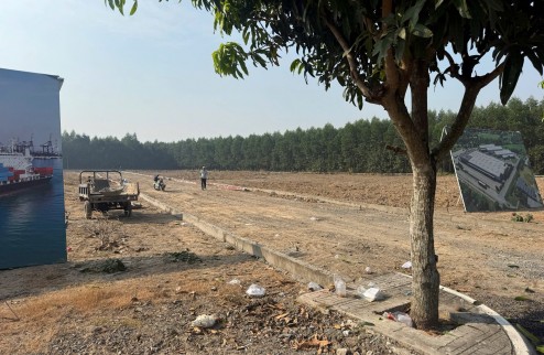 Đất đẹp An Viễn – gần KCN Giang Điền, tiềm năng tăng giá cao
