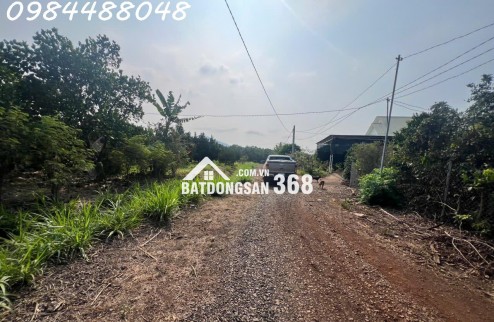 Bán vườn 3216m2, Xuân Phú, Xuân Lộc. Đồng Nai. Giá 1,8 ty. Lh 0984488048.