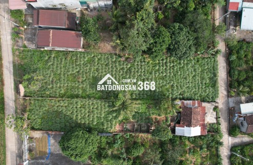 view xịn cho nhà đầu tư xuống tiền giữ tài sản!,Nguyễn Bỉnh Khiêm