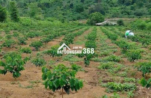 Em có lô đất cực đỉnh nằm ngay mặt tiền đường Nguyễn Bỉnh Khiêm, TP.Kon Tum