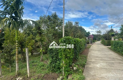 Săn đất vàng Kon Tum, đầu tư sinh lời cực đỉnh!