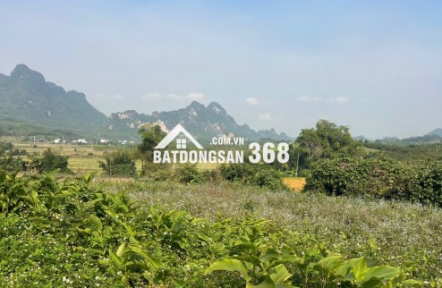 Đất Cao Phong Giá SỐC Chỉ Dưới 1 Triệu/m² Sở Hữu 6000m² View Cánh Đồng cách QL6 chưa đến 1km