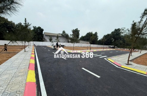 BÁN LÔ HOA HẬU CỔ LIỄN, CỔ ĐÔNG 100M NHỈNH 3TY SÁT TRỤC CHÍNH GẦN ĐHQG HN KHU CNC