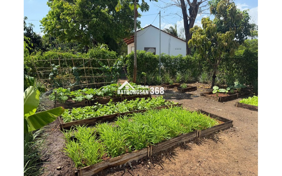 SỞ HỮU NHÀ VƯỜN ĐẲNG CẤP TẠI GREENERY HOUSE LONG TÂN – BÀ RỊA VŨNG TÀU