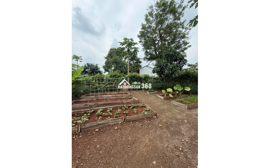 GREENERY HOUSE BÀ RỊA – CƠ HỘI SỞ HỮU NHÀ VƯỜN NGHỈ DƯỠNG CHỈ TỪ 3 TỶ ĐỒNG/LÔ