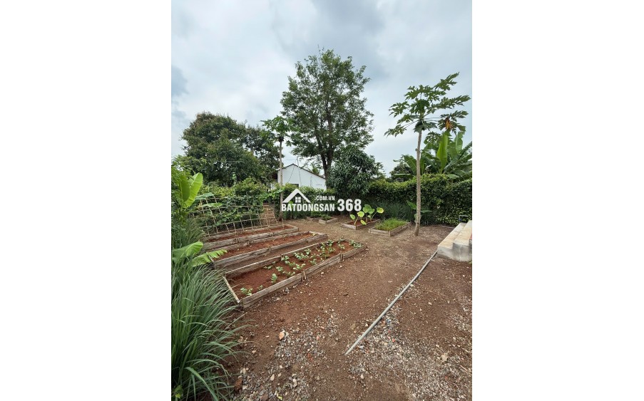 GREENERY HOUSE BÀ RỊA – CƠ HỘI SỞ HỮU NHÀ VƯỜN NGHỈ DƯỠNG CHỈ TỪ 3 TỶ ĐỒNG/LÔ