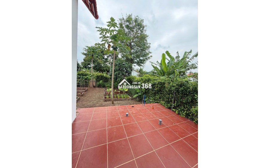 GREENERY HOUSE BÀ RỊA – CƠ HỘI SỞ HỮU NHÀ VƯỜN NGHỈ DƯỠNG CHỈ TỪ 3 TỶ ĐỒNG/LÔ