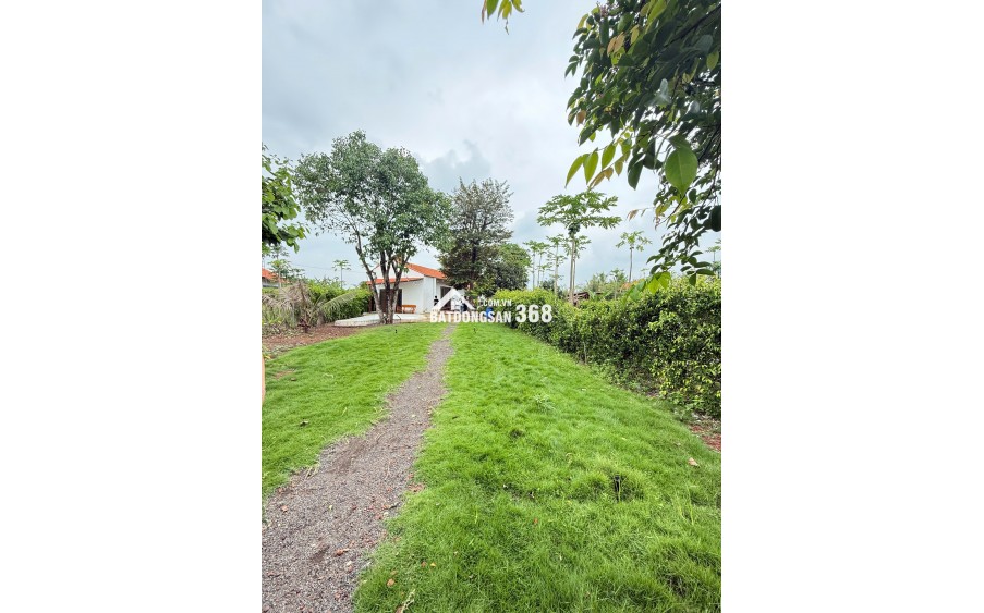 GREENERY HOUSE BÀ RỊA – CƠ HỘI SỞ HỮU NHÀ VƯỜN NGHỈ DƯỠNG CHỈ TỪ 3 TỶ ĐỒNG/LÔ