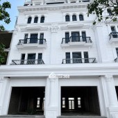CƠ HỘI SỞ HỮU CẶP SHOPHOUSE ĐẸP BẬC NHẤT DANKO CITY – KHÔNG CÓ CĂN THỨ HAI SO SÁNH