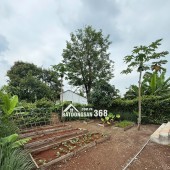 GREENERY HOUSE BÀ RỊA – CƠ HỘI SỞ HỮU NHÀ VƯỜN NGHỈ DƯỠNG CHỈ TỪ 3 TỶ ĐỒNG/LÔ