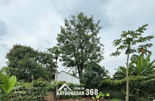 GREENERY HOUSE BÀ RỊA – CƠ HỘI SỞ HỮU NHÀ VƯỜN NGHỈ DƯỠNG CHỈ TỪ 3 TỶ ĐỒNG/LÔ