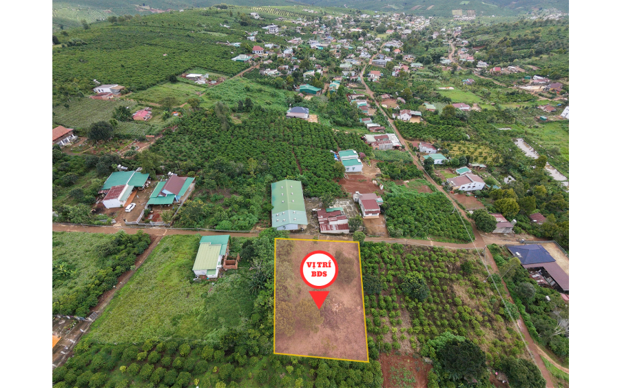 1000m2 Đất Di Linh 100m2 thổ cư ngay KDC giá 1,450tr