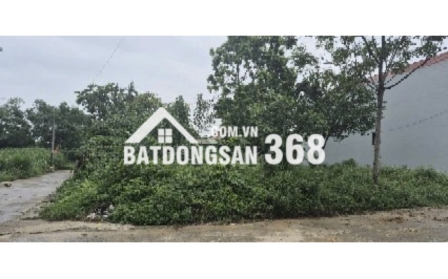 Bán đất thổ cư Đông Hạ Đông Yên Quốc Oai 85,6m2 sổ đỏ sang tên ngay
