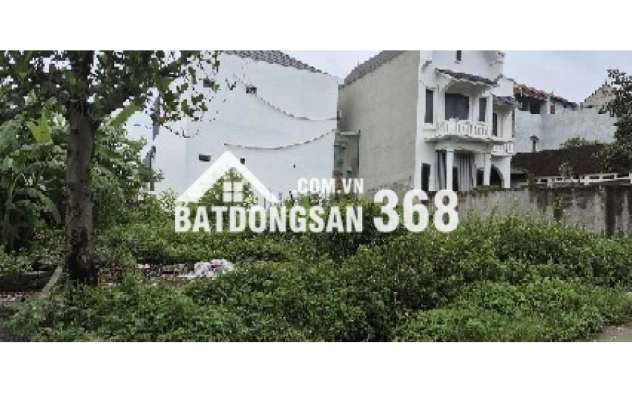 Bán đất thổ cư Đông Hạ Đông Yên Quốc Oai 85,6m2 sổ đỏ sang tên ngay