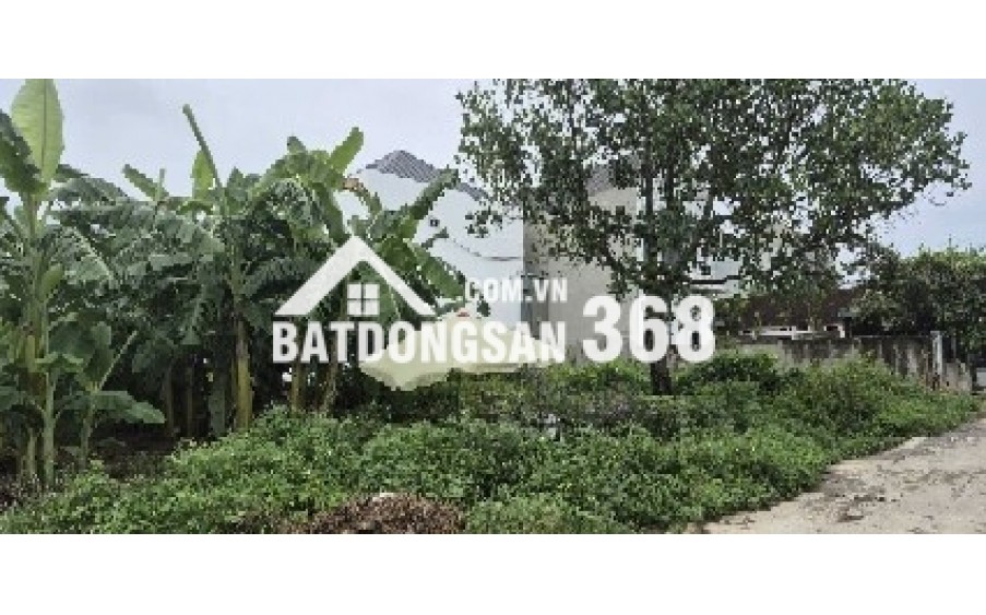 Bán đất chính chủ 85,6m2 tại Đông Hạ Đông Yên Quốc Oai sổ sẵn giao dịch
