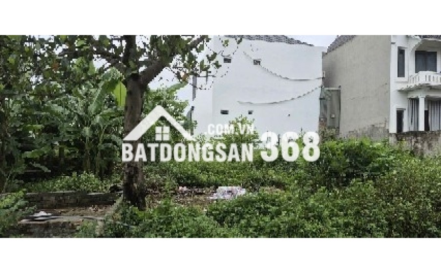 Bán gấp đất Quốc Oai Hà Nội 85,6m2 sổ đỏ chính chủ ô tô đỗ cửa