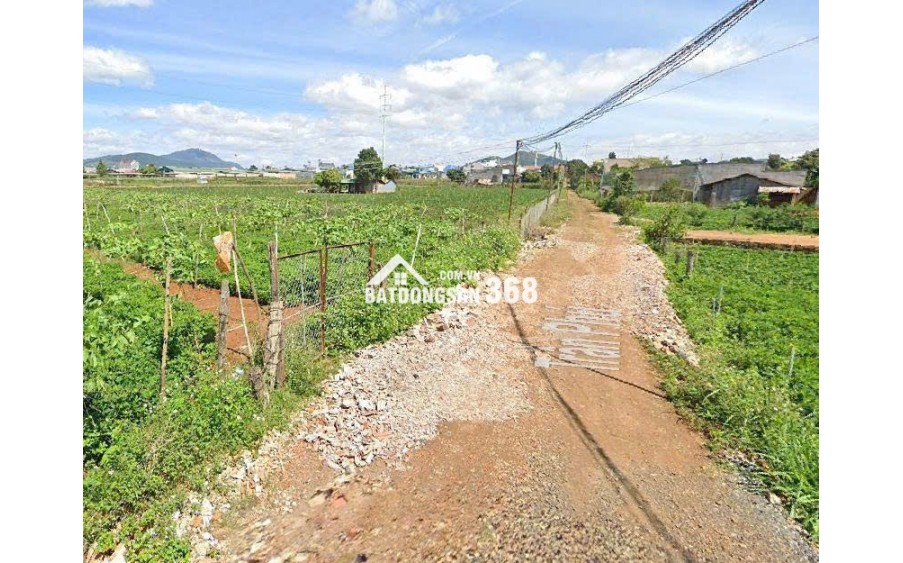 Bán Đất 369m²  5 tỷ Gần TT Hành Chính Đức Trọng, Lâm Đồng - Sổ Riêng