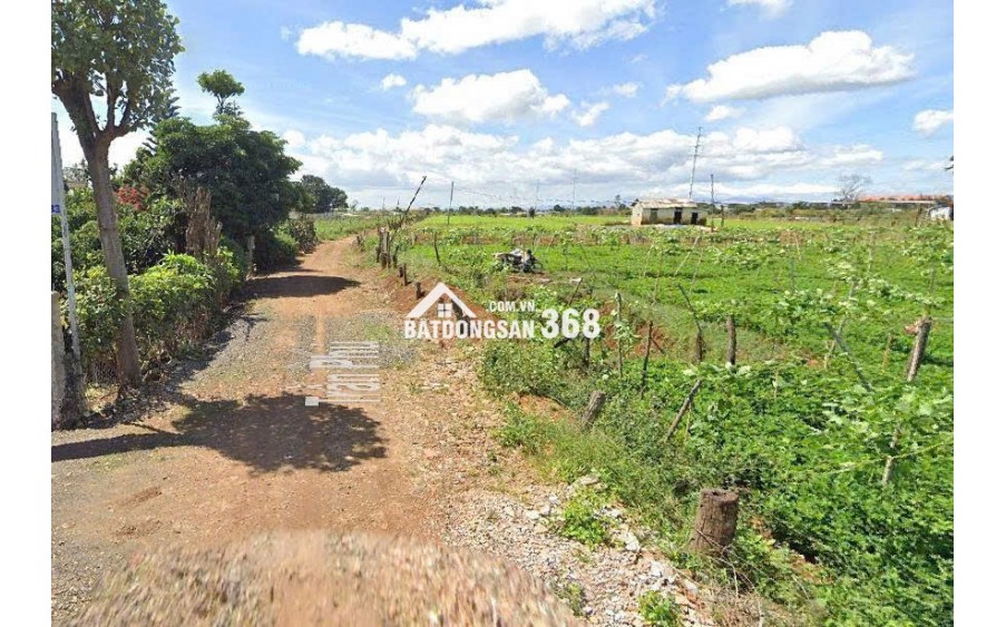 Bán Đất 369m²  5 tỷ Gần TT Hành Chính Đức Trọng, Lâm Đồng - Sổ Riêng