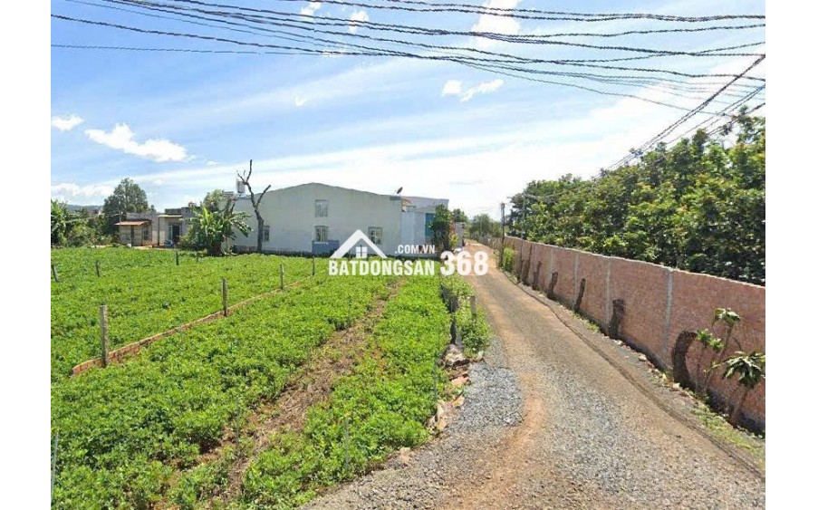 Bán Đất 369m²  5 tỷ Gần TT Hành Chính Đức Trọng, Lâm Đồng - Sổ Riêng