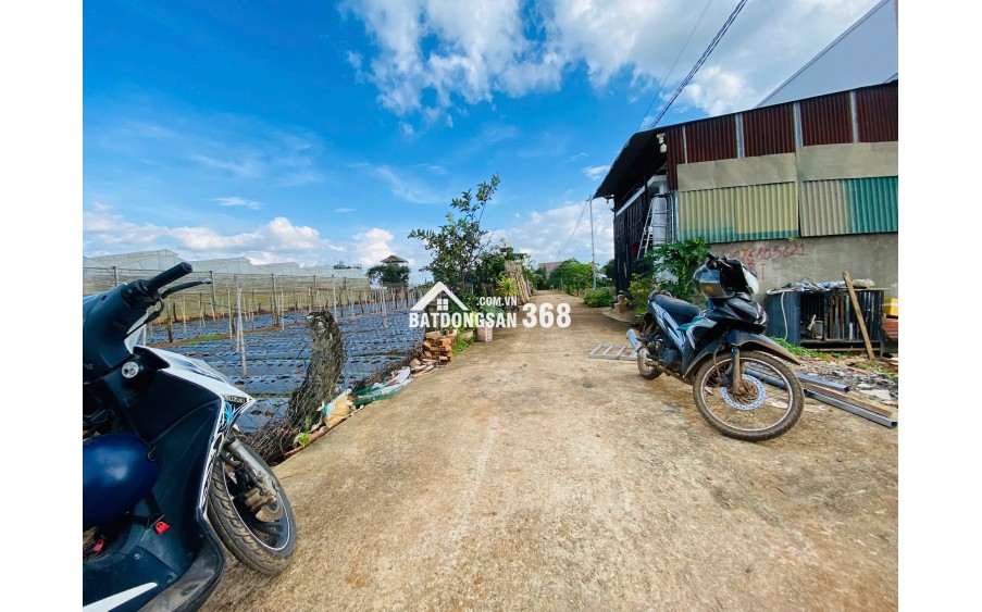 Bán đất 112,5m² Liên Nghĩa, Đức Trọng, Lâm Đồng – Gần trung tâm hành chính, giá 1,2 tỷ
