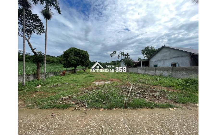 BÁN 3.000m² ĐẤT NGHỈ DƯỠNG KIM BÔI – 1.110m² THỔ CƯ