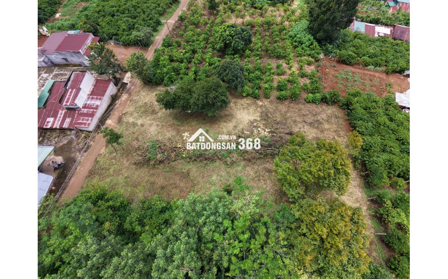 1000m2 Đất Di Linh 100m2 thổ cư ngay KDC giá 1,450tr