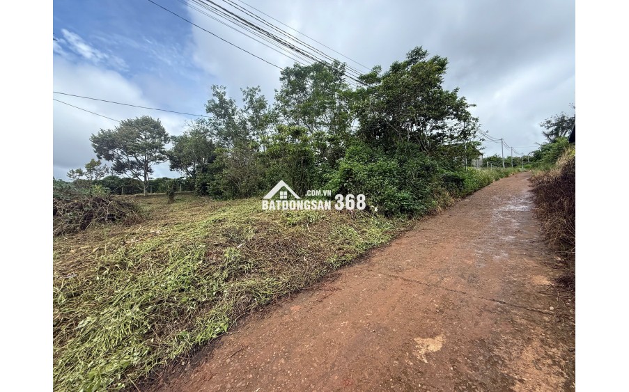 1000m2 Đất Di Linh 100m2 thổ cư ngay KDC giá 1,450tr