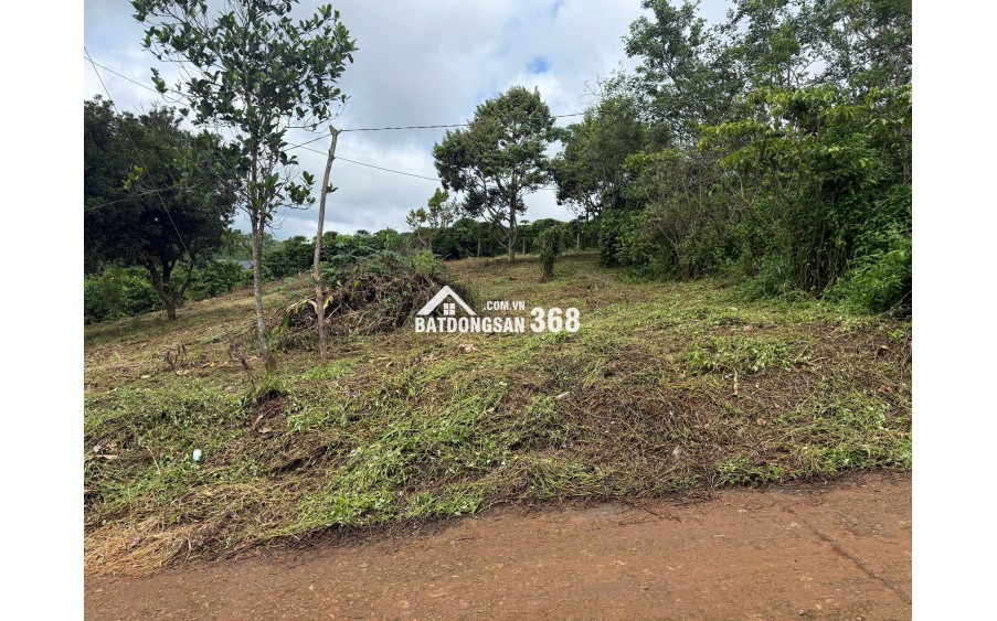 1000m2 Đất Di Linh 100m2 thổ cư ngay KDC giá 1,450tr
