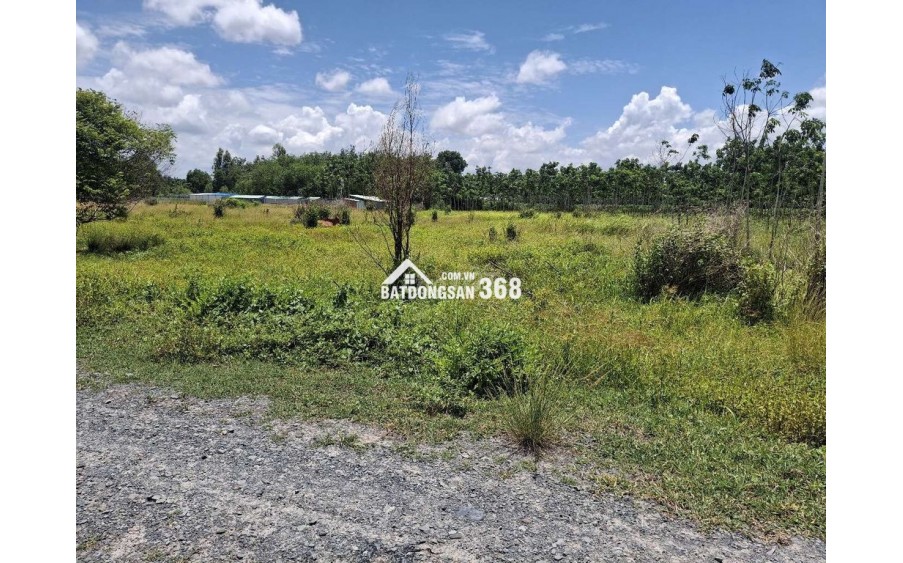 CHÍNH CHỦ CẦN BÁN LÔ ĐẤT NÔNG NGHIỆP 1011,8m2 TẠI CHÂU THÀNH - TÂY NINH