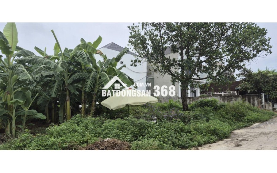 BÁN 85,6 m² ĐẤT ĐÔNG YÊN, QUỐC OAI - SỔ ĐỎ CHÍNH CHỦ