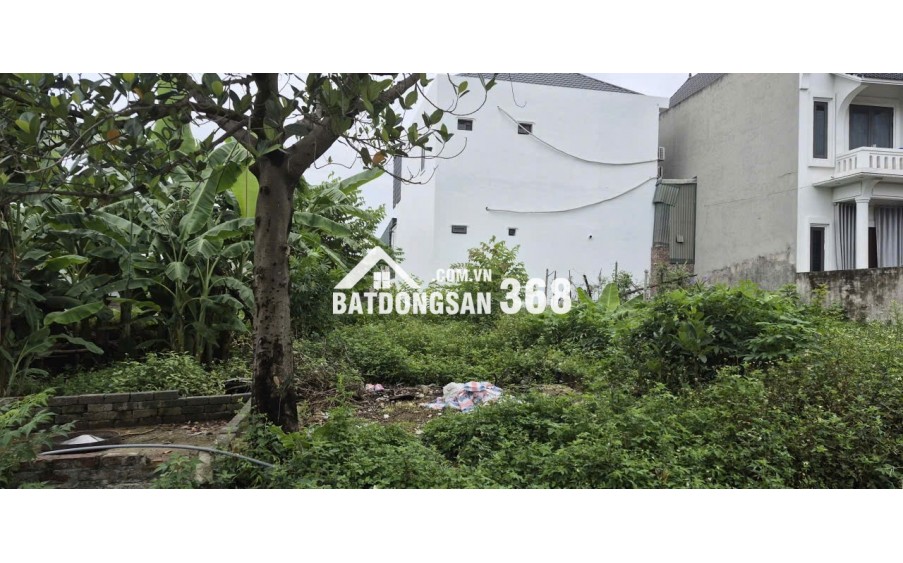 BÁN 85,6 m² ĐẤT ĐÔNG YÊN, QUỐC OAI - SỔ ĐỎ CHÍNH CHỦ