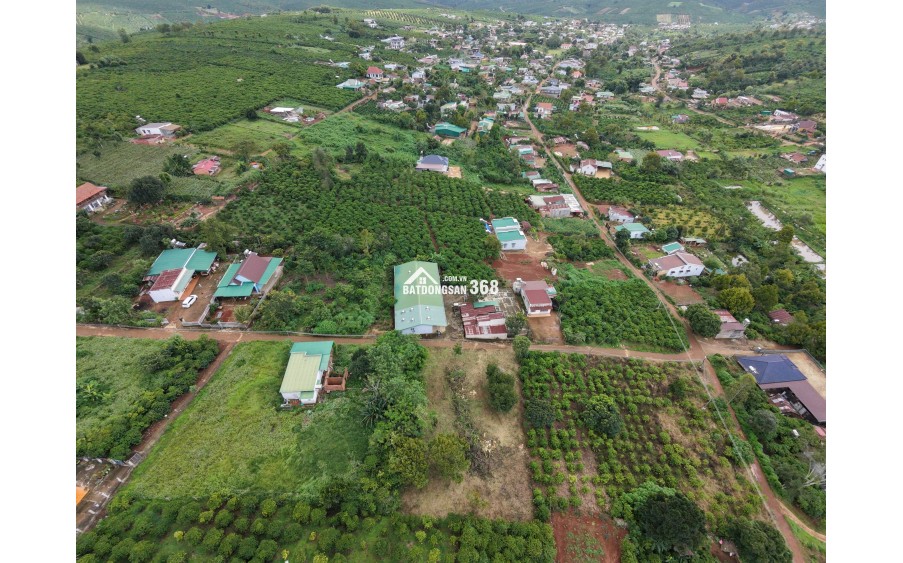 1000m2 Đất Di Linh 100m2 thổ cư ngay KDC giá 1,450tr