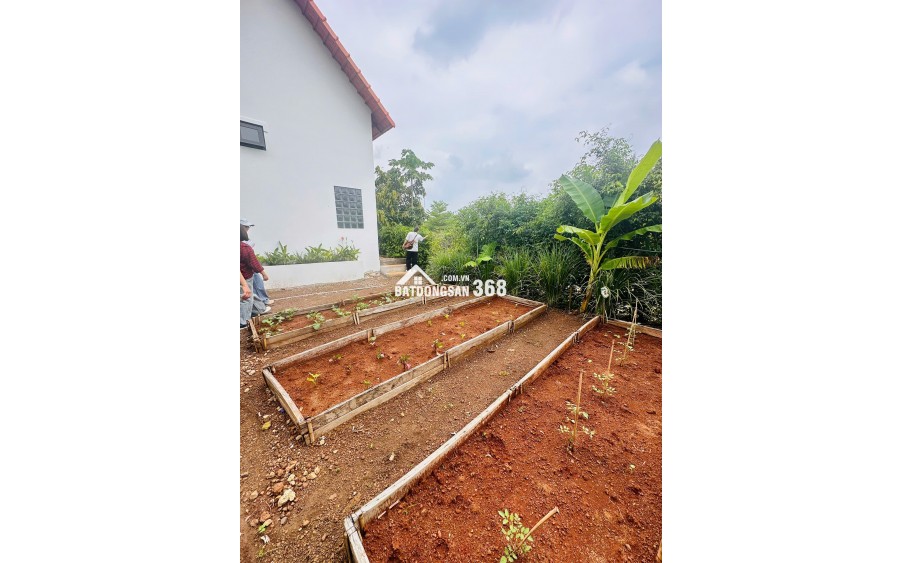 BÁN ĐẤT VƯỜN LONG TÂN - ĐÓN SÓNG CAO TỐC BIÊN HÒA VŨNG TÀU - CHỈ 3.5 TỶ