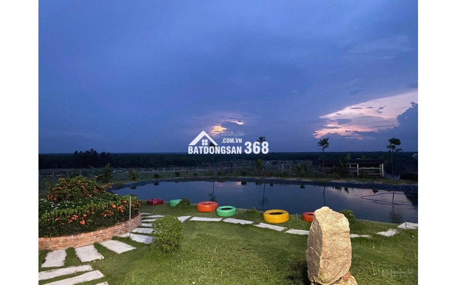 BÁN 40 HA ĐẤT QUY HOẠCH ĐẤT Ở NÔNG THÔN – VEN HỒ DẦU TIẾNG