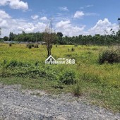 CHÍNH CHỦ CẦN BÁN LÔ ĐẤT NÔNG NGHIỆP 1011,8m2 TẠI CHÂU THÀNH - TÂY NINH