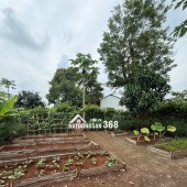 Bán lô dất đẹp 400m2 tại Bà Rịa Vũng Tàu, sổ hồng sang tên nhanh chóng