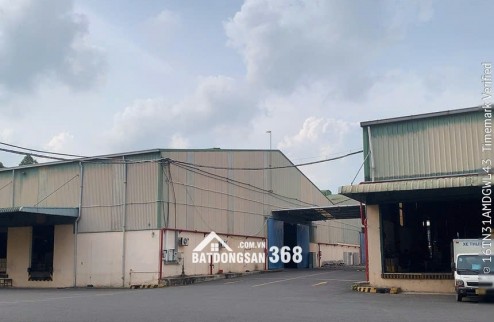 CẦN CHO THUÊ KHO , KHO CHỨA HÀNG HÓA TẠI BÌNH DƯƠNG GỒM : SƠN DẦU , HẠT NHỰA , PHÂN BÓN CA