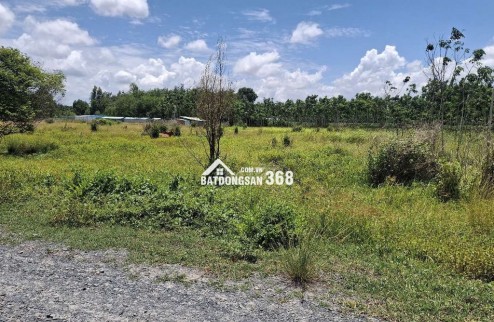 CHÍNH CHỦ CẦN BÁN LÔ ĐẤT NÔNG NGHIỆP 1011,8m2 TẠI CHÂU THÀNH - TÂY NINH