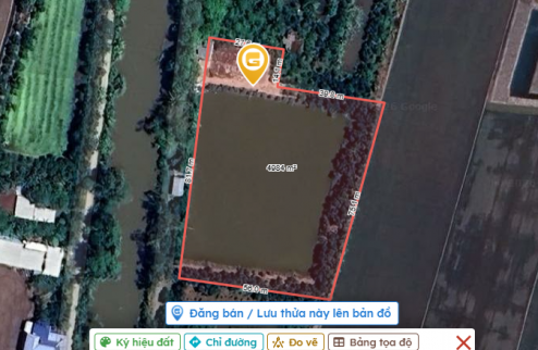 Bán đất ruộng lên ao sẵn tại Cao Lãnh