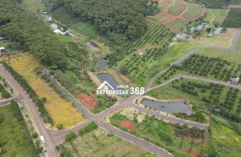 Bán GẤP đất gần HỒ NGỌC, gần đồi chè TÂM CHÂU, 1,35tỷ/150m2, full thổ, SỔ SẴN