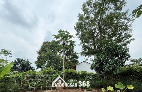Bán lô dất đẹp 400m2 tại Bà Rịa Vũng Tàu, sổ hồng sang tên nhanh chóng